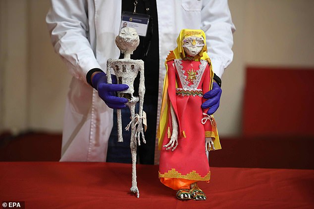 Two pieces that look like small mummies were seized in October 2023 at the Lima airport and that were going to be sent to Mexico. Maussan has said these are not like his own specimens