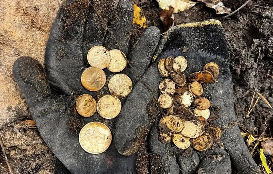 Hoard of American and Russian Gold Coins Found in Polish Forest -  GreekReporter.com