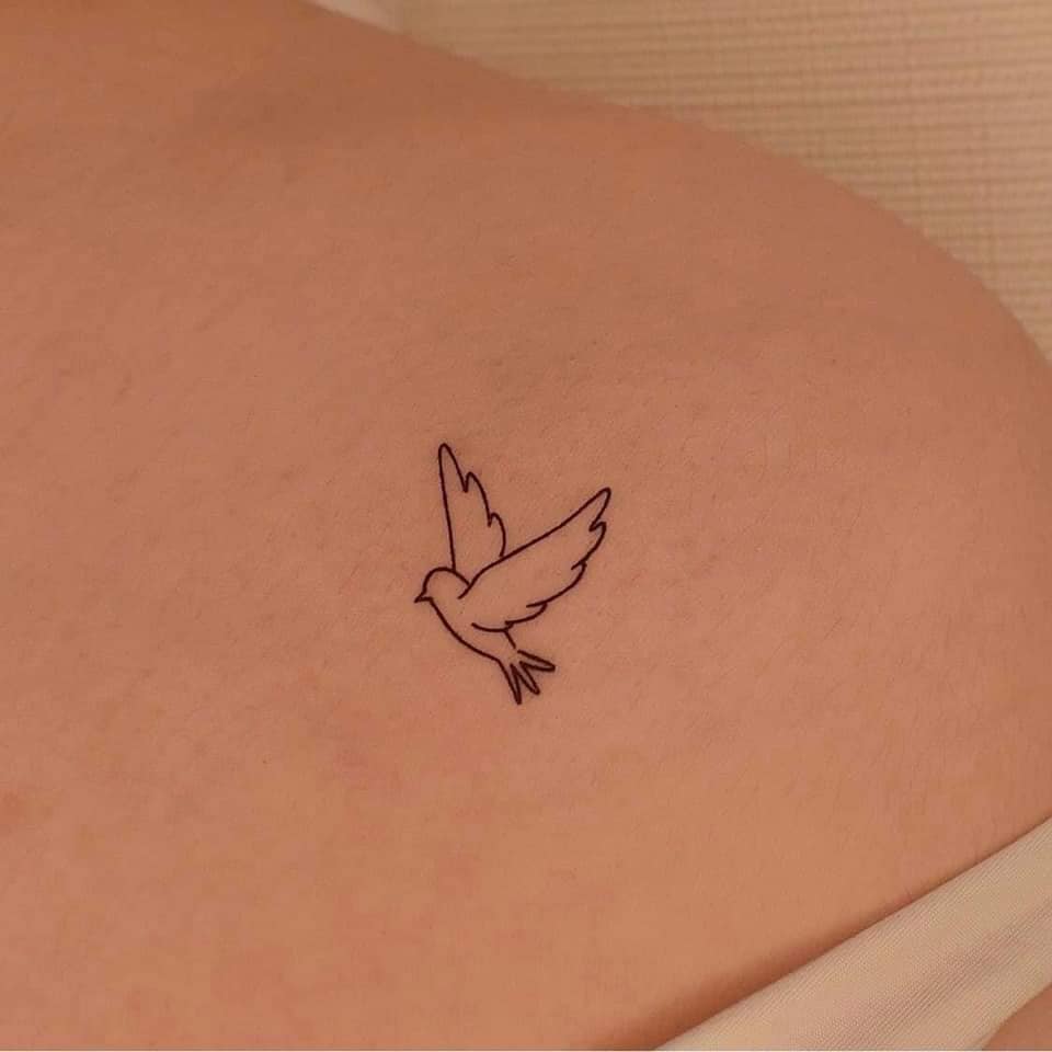 12 Tatuajes Pequenos Minimalistas Paloma en Clavicula