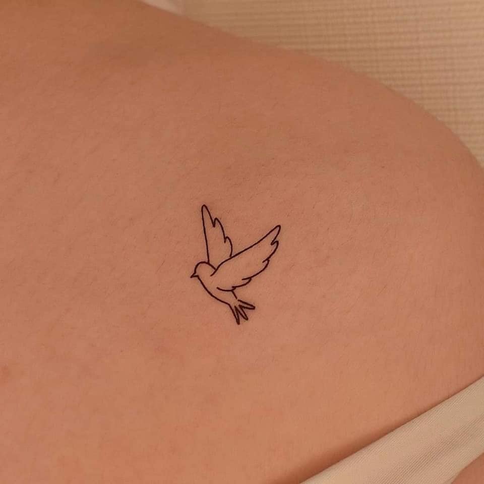 17 Tatuajes aesthetic Bellos pequenos minimalistas con muxo Zoom paloma en clavicula