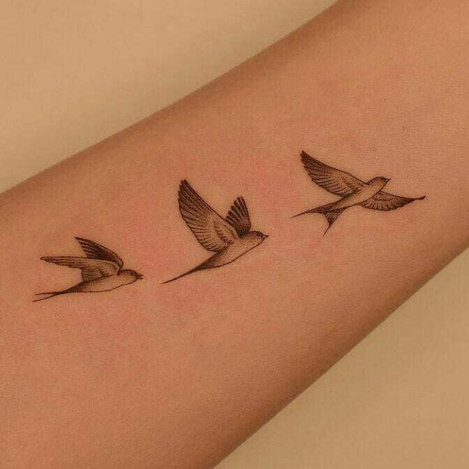 258 Tatuajes aesthetic Bellos pequenos minimalistas Tres gaviotas en vuelo