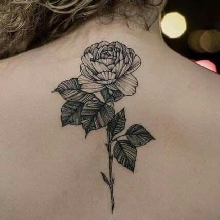 Tatuaje de Rosa negra en la espalda mujer