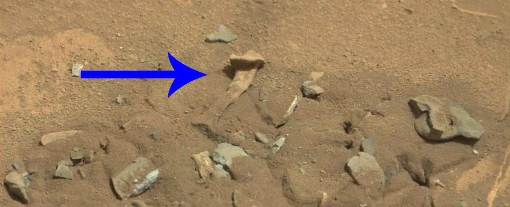 That 'Human Bone' Found in a NASA Mars Photo Isn't Even New. Here's The Real Story : ScienceAlert