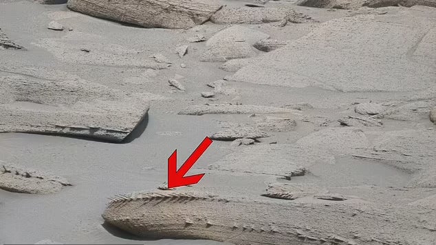 Curiosity Snaps Photos of What Look Like Skeletal Animal Remains on Mars! | Weather.com