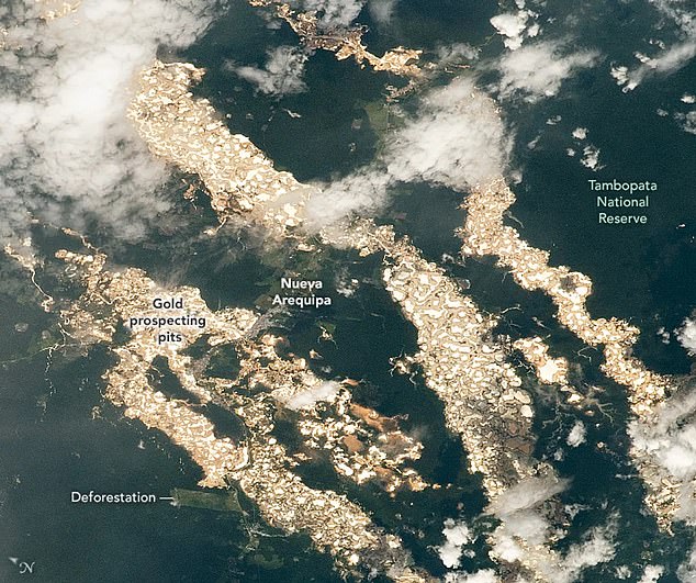 As noted by NASA's Earth Observatory, the criminal gold-prospecting pits are comprised of hundreds of packed, water-filled basins, carved into deforested and de-vegetated flats of mud. While beautiful from space, the pits leave toxic mercury and other devastation in their wake