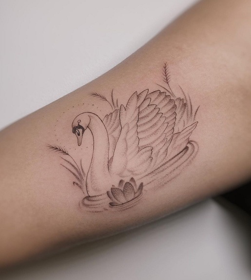 Swan Tattoo