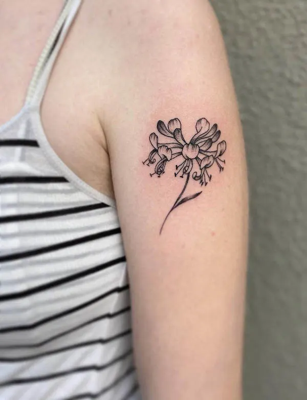 Honeysuckle tattoo by @meatrocker